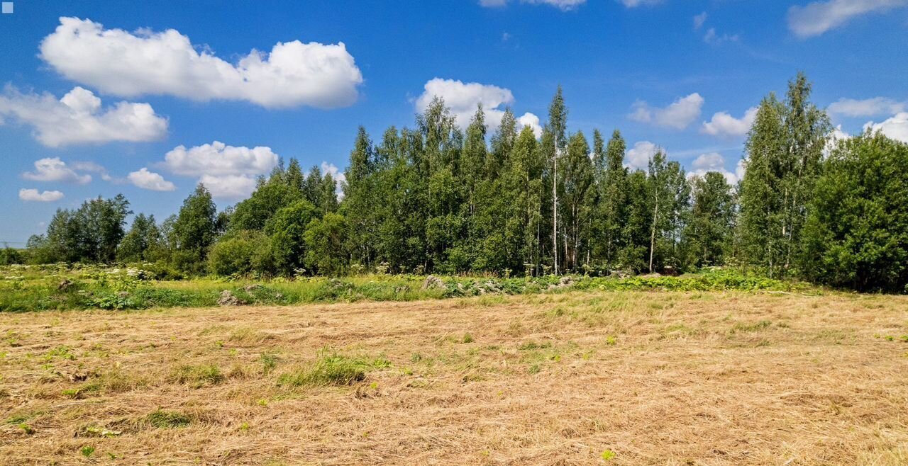 земля р-н Всеволожский г Кудрово Улица Дыбенко, Заневское городское поселение, Мурманское шоссе, 12-й километр фото 1