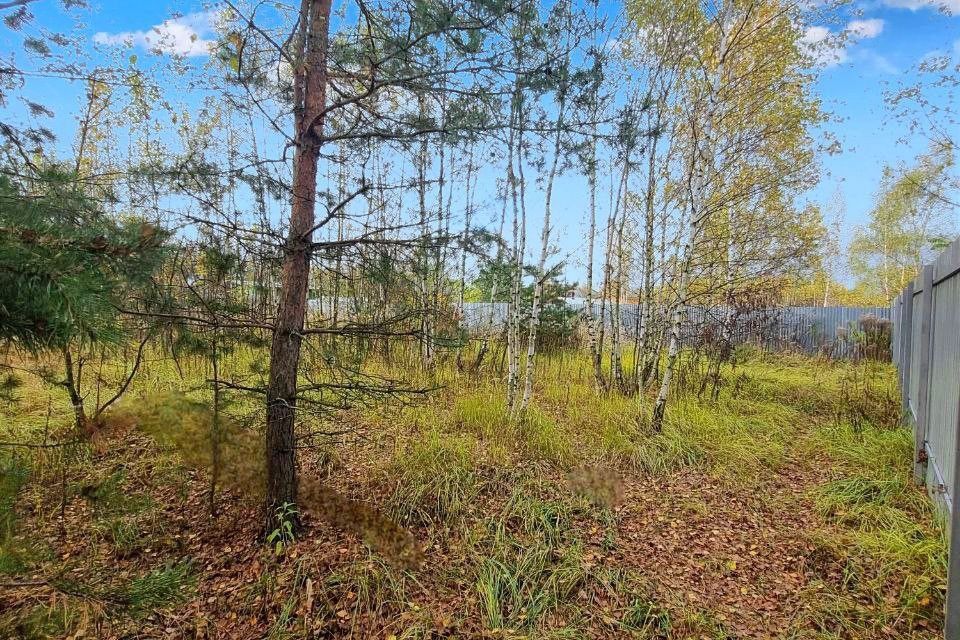 земля городской округ Богородский д Вишняково ул Советская фото 1