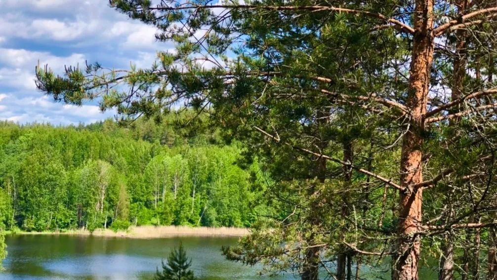 дом р-н Выборгский Каменногорское городское поселение, Озеро Лунное кп, ул. Звездная, 2 фото 13