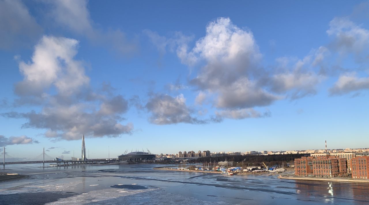 квартира г Санкт-Петербург метро Приморская наб Макарова 58с/2 фото 8