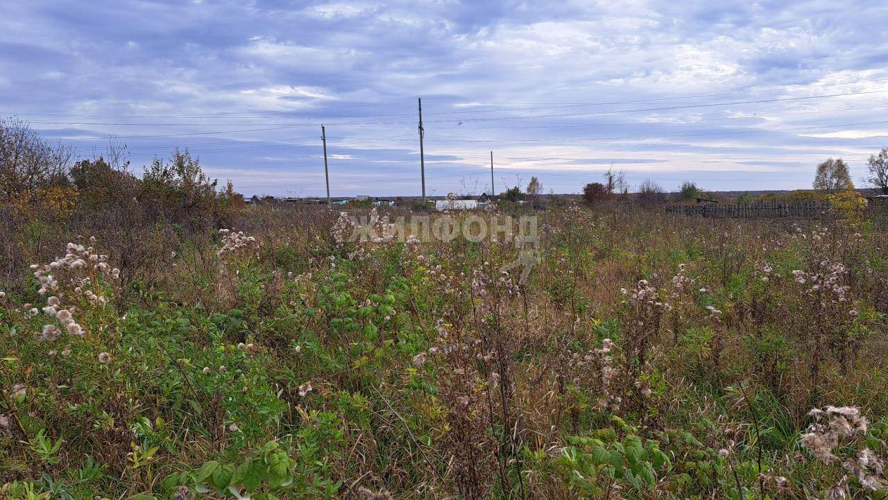 земля р-н Новосибирский с Криводановка ул Шоссейная фото 1