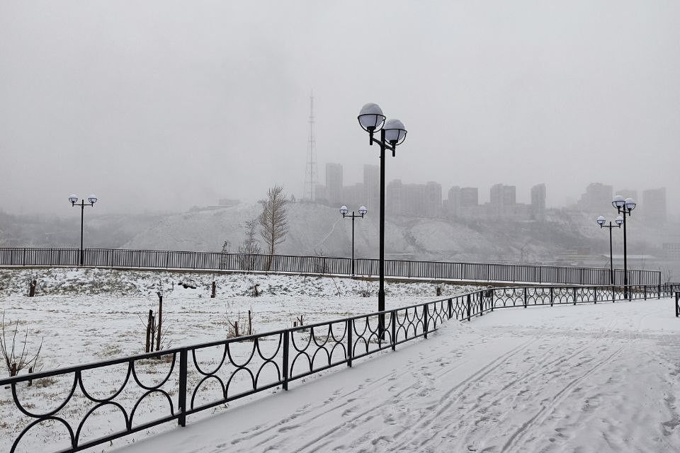 квартира г Красноярск р-н Свердловский ул Лесников 51 Красноярск городской округ фото 3