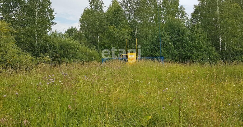 земля г Новосибирск р-н Советский Речной вокзал Академгородок фото 1