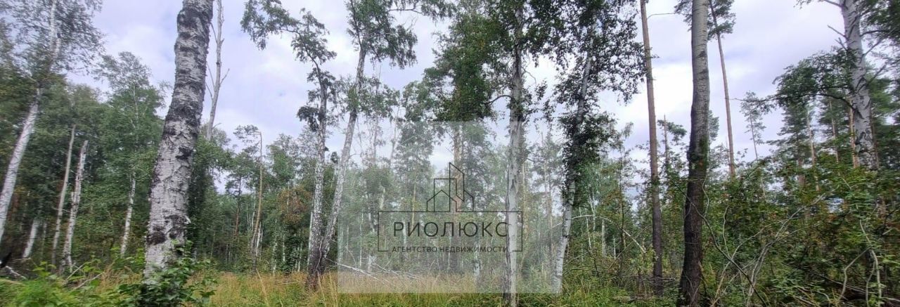 земля г Екатеринбург р-н Чкаловский Кургановский дп фото 11