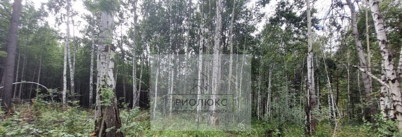 земля г Екатеринбург р-н Чкаловский Кургановский дп фото 13