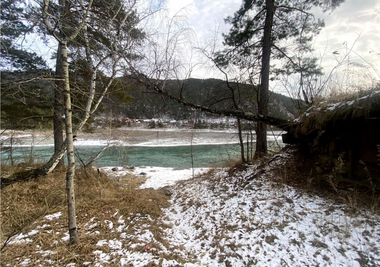 земля р-н Чемальский с Анос Горно-Алтайск фото 13