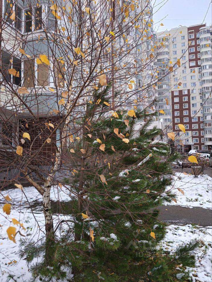 квартира г Москва п Десеновское п Ватутинки новые Ватутинки мкр. «Центральный» пр-кт Нововатутинский 10 Московская область фото 40