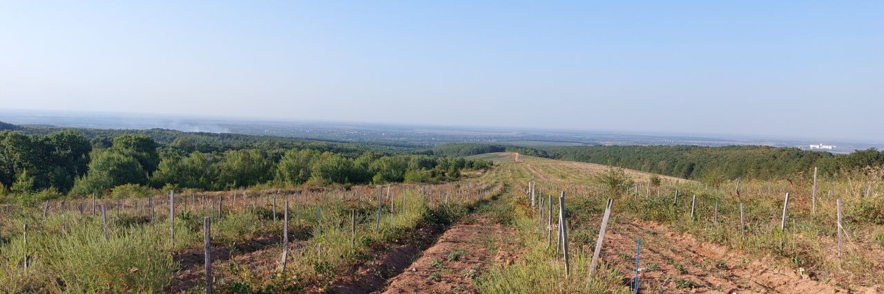 офис р-н Абинский пгт Ахтырский пер Краснодарский 4 Ахтырское городское поселение фото 4