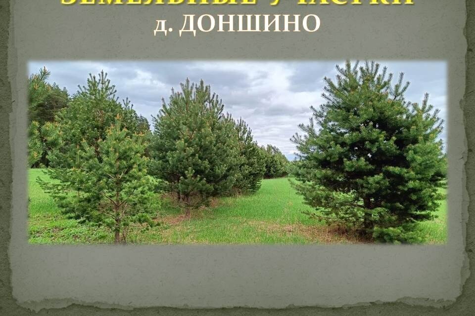 земля р-н Калининский д Доншино ул Новгородская фото 27