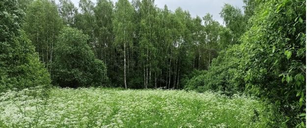 офис городской округ Дмитровский д Новинки фото 1