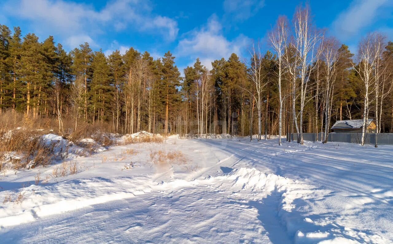 земля р-н Нижнетавдинский с Тюнево ул Южная Тюмень фото 9