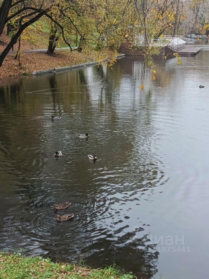 комната г Москва метро Люблино ЮЗАО ул Ставропольская 8 Московская область фото 5