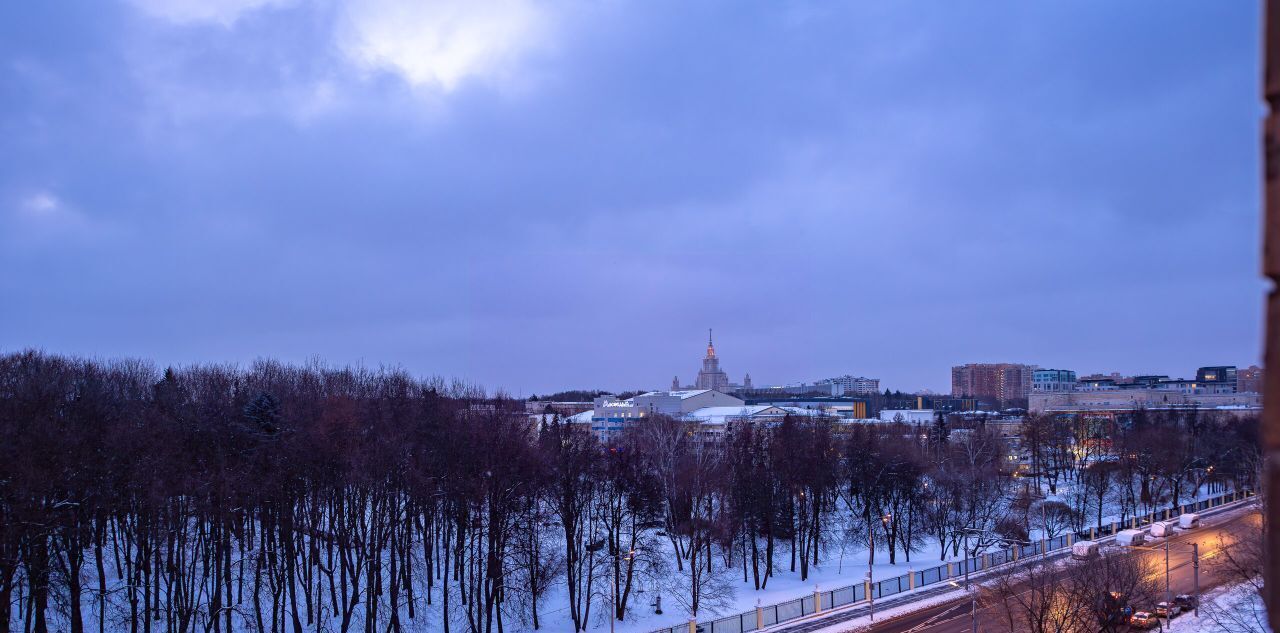 квартира г Москва ул Мосфильмовская 2в Поклонная фото 23