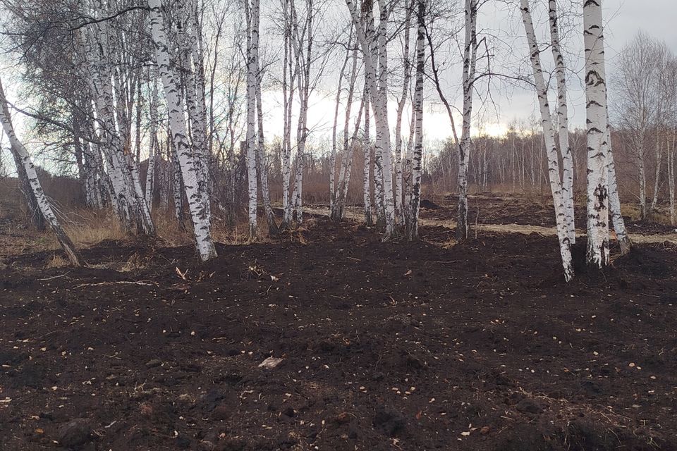 земля г Тюмень Тюмень городской округ, СТ Чайка фото 1