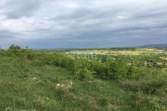 земля Ставрополь городской округ, Ленинский фото