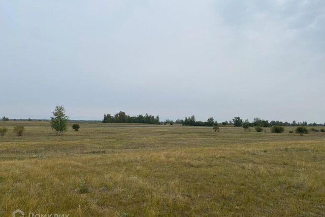 Якутск городской округ, Республика Саха Якутия, СХПК Хатасский фото