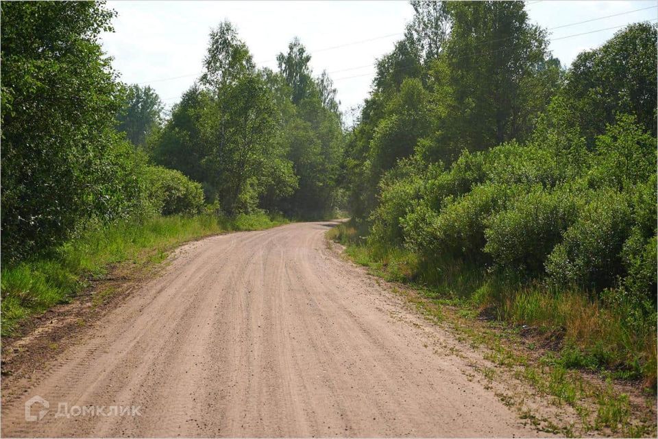 земля р-н Опочецкий д. Ратово фото 8