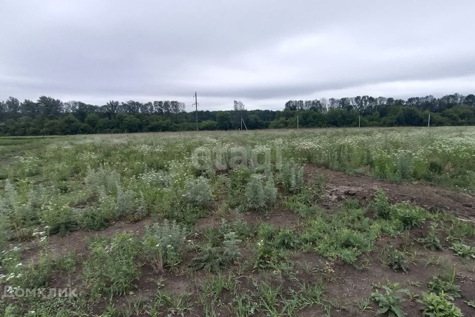 земля р-н Белгородский с Севрюково ул Щегловка-Заречная 27а фото 5