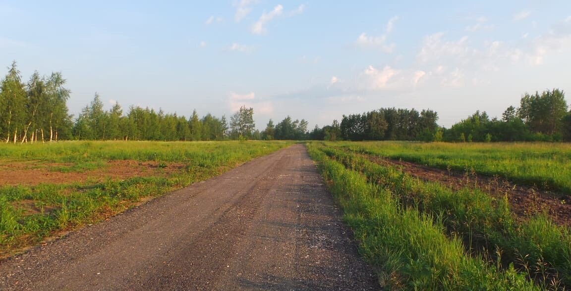 земля городской округ Раменский д Морозово 45 км, ул. Чкалова, Бронницы, Рязанское шоссе фото 3