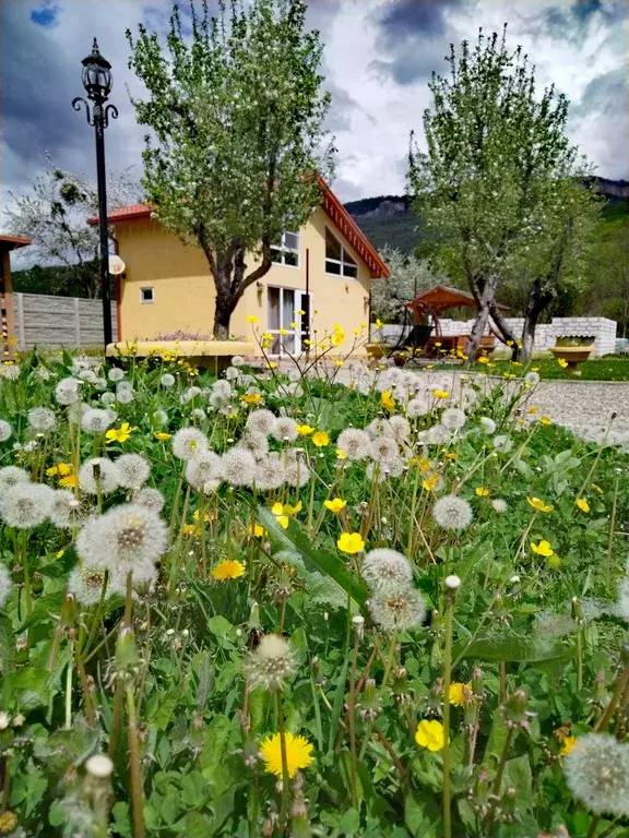 дом р-н Майкопский ст-ца Даховская ул Прохладная 51 фото 17