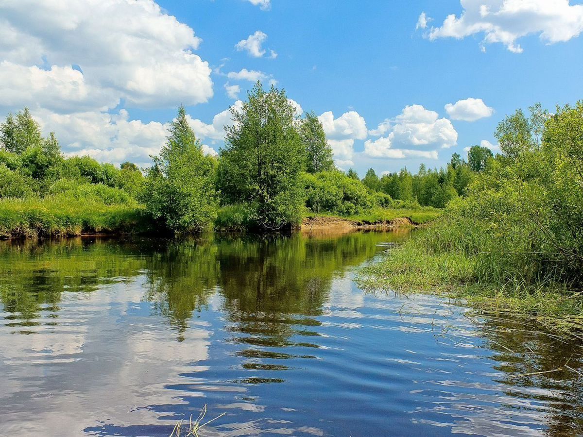 земля городской округ Домодедово 40 км, д. Голубино, Новокаширское шоссе фото 4