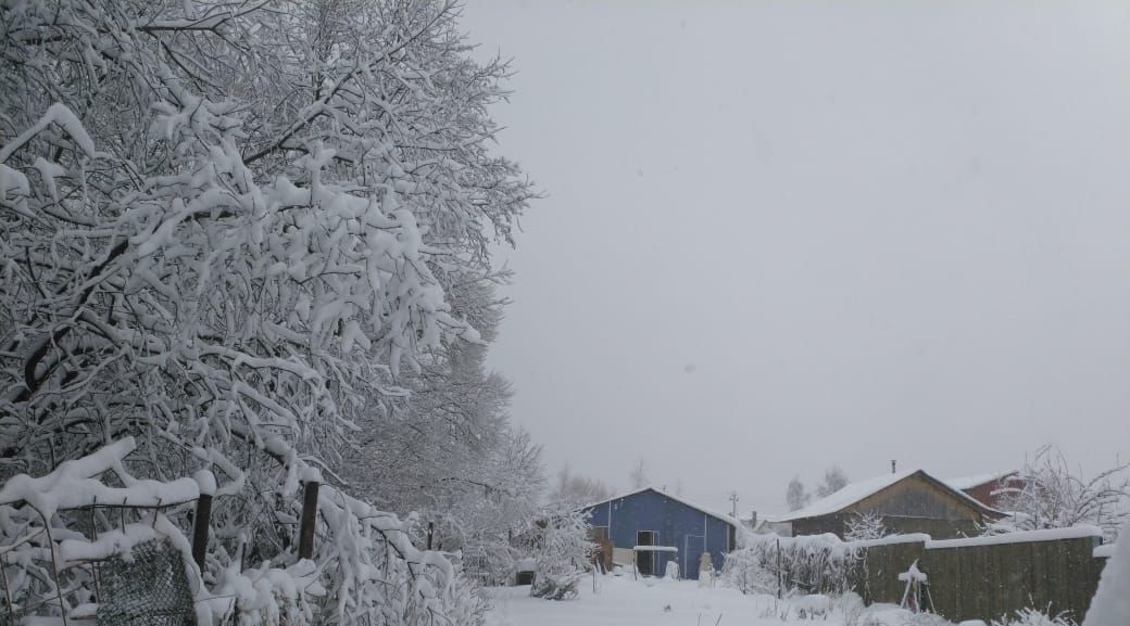 земля городской округ Серпухов д Левое Ящерово 3, Серпухов фото 7