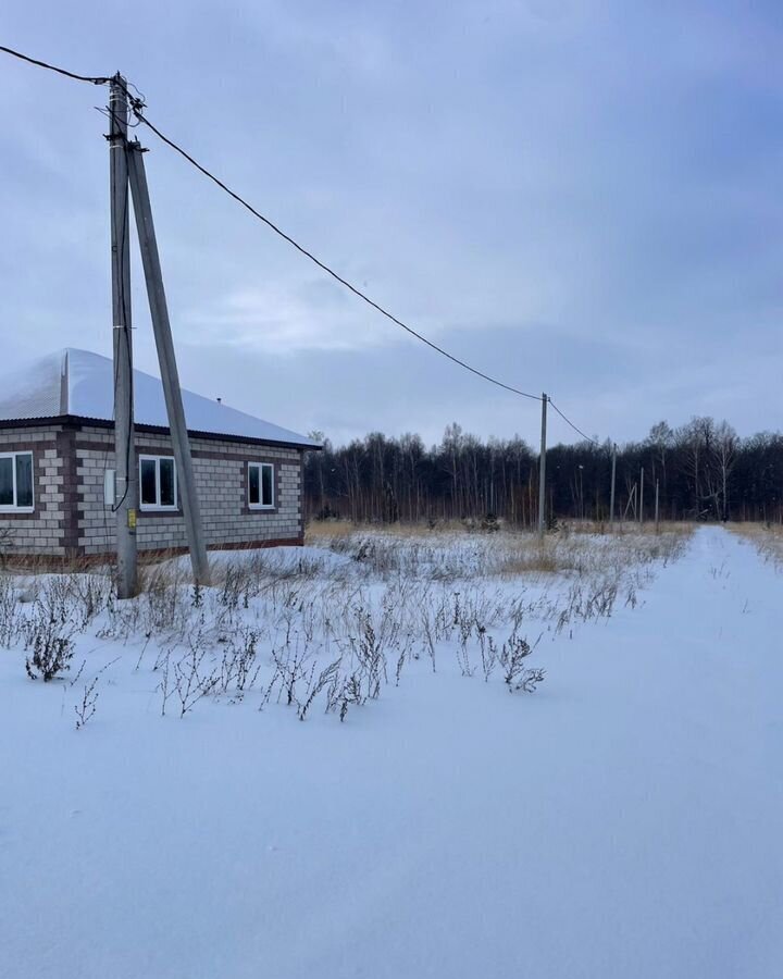 земля р-н Высокогорский с Инся Берёзкинское сельское поселение, коттеджный посёлок Ак Каен, Высокая Гора фото 15