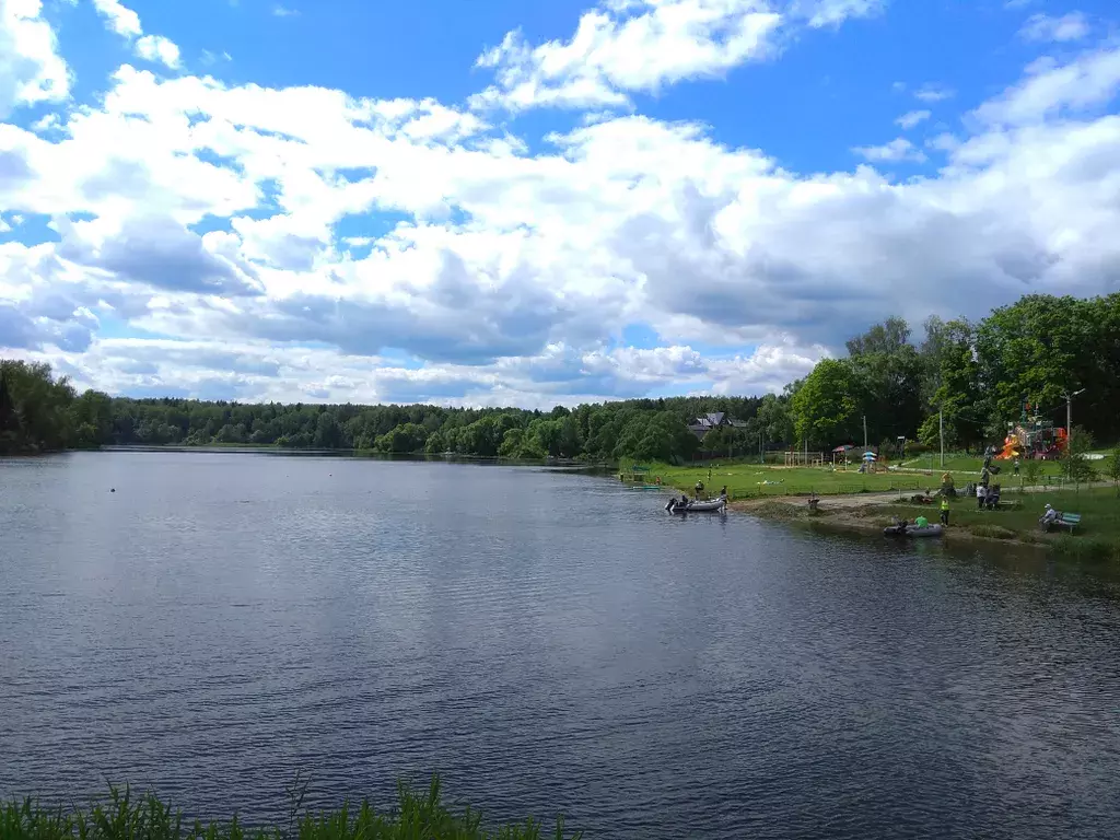 дом г Пушкино снт Марьина Гора КП Весна парк территория, 95 фото 25