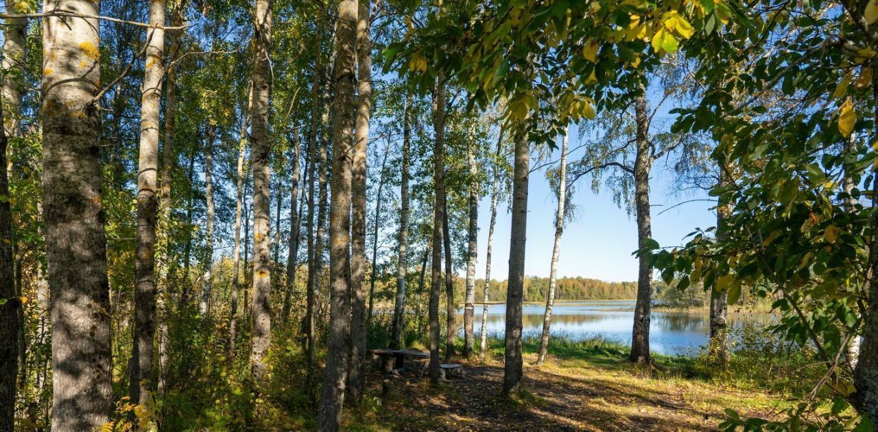 земля р-н Приозерский Ромашкинское с/пос, Вуоксаари кп фото 4