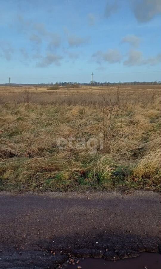 земля р-н Зеленоградский г Зеленоградск Светлогорск фото 1