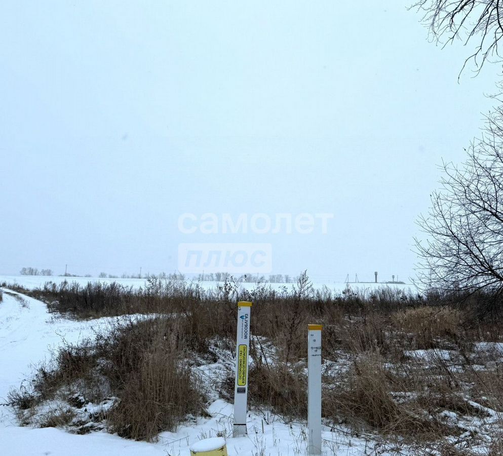 земля городской округ Серебряные Пруды 140 км, мкр-н Тополя, Серебряные Пруды, Каширское шоссе фото 4