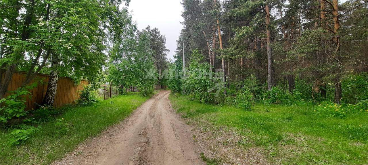 земля р-н Ордынский с Нижнекаменка ул Береговая фото 2