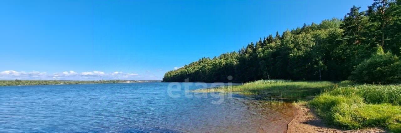 земля р-н Выборгский д Камышовка пр-д Полевой Приморское городское поселение фото 12