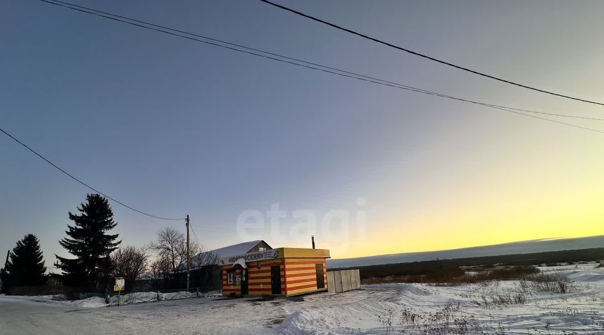 свободного назначения р-н Тюменский с Салаирка ул Южная 19 Салаирское сельское поселение фото 17