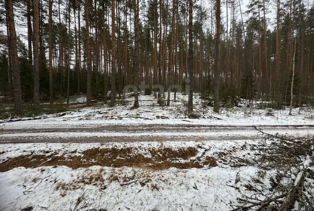 земля р-н Красносельский д Кузьмино Шолоховское сельское поселение фото 18