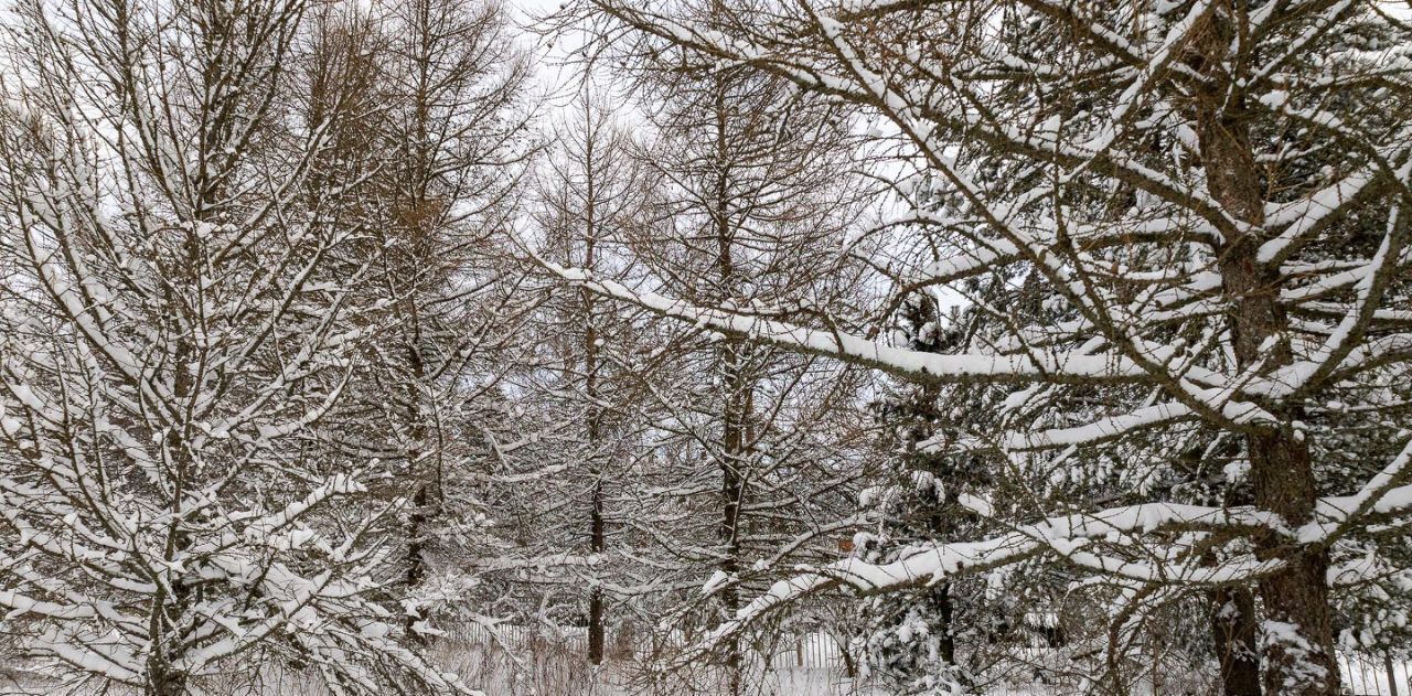 земля р-н Всеволожский Токсовское городское поселение, Токсово городской поселок, Виктория мкр, Девяткино, 85 фото 23