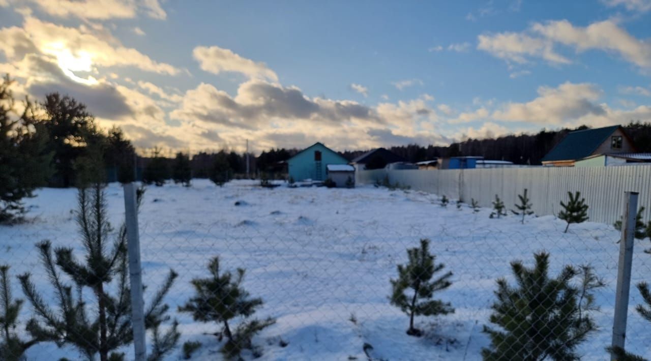 земля городской округ Раменский Лисицыны Лужки кп, Ипподром, ул. Мира фото 4