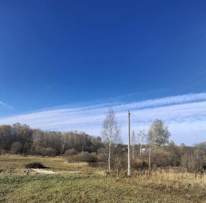 дом р-н Богородский д Оринкино ул Зеленая фото 2