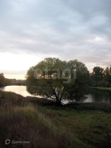 Балашиха городской округ, Саввино м-н фото