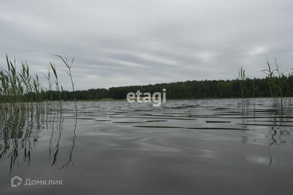 земля р-н Приозерский фото 4