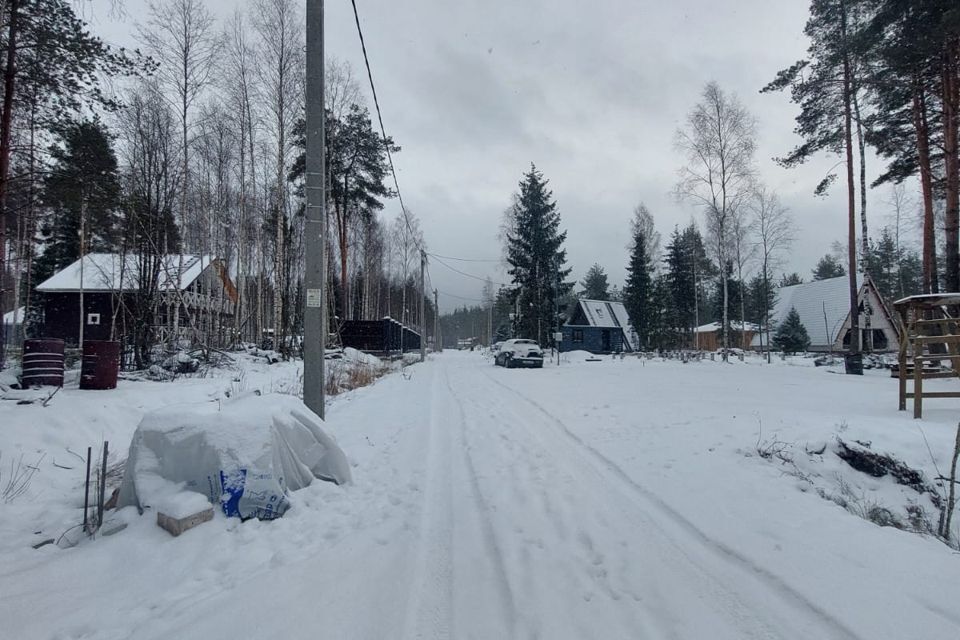 земля р-н Всеволожский фото 4