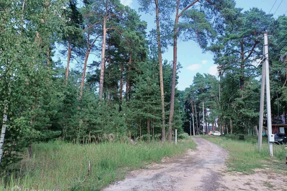 земля городской округ Щёлково д Первая Алексеевка коттеджный посёлок Хвойный фото 8