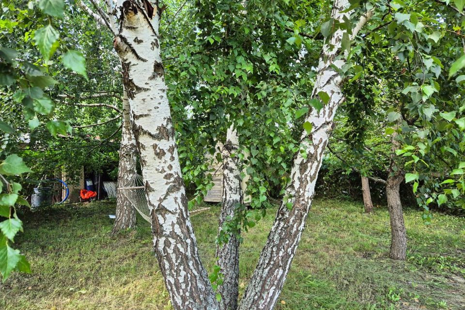 дом городской округ Ступино СНТ Дьковское, 51 фото 7