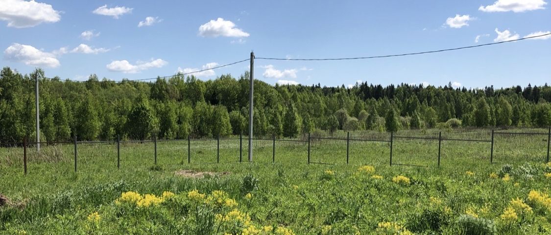 земля городской округ Солнечногорск д Клочково снт Клочково Солнечногорск, Еловая улица фото 9