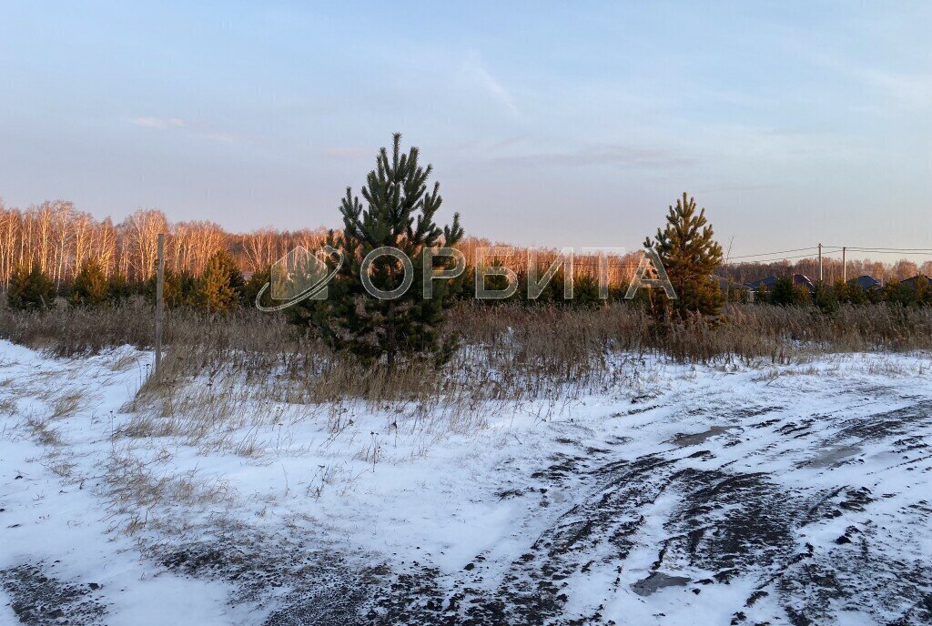 земля р-н Тугулымский с Мальцево фото 4