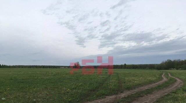с Русский Ишим ул Полевая 4 фото