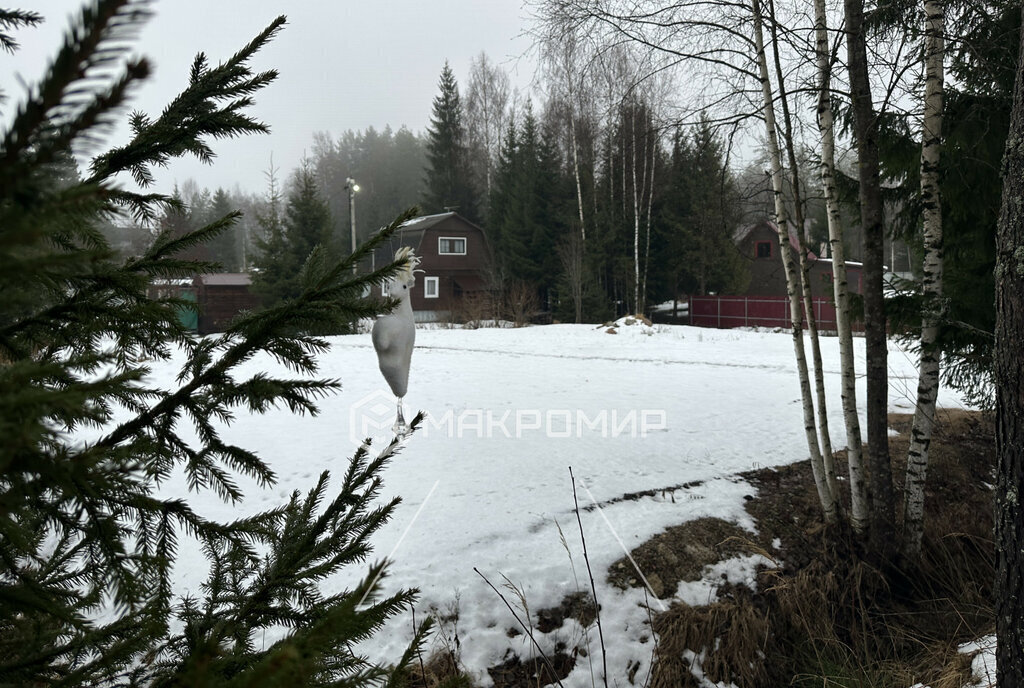 земля р-н Выборгский снт Надежда Первомайское сельское поселение, Лесная улица фото 1