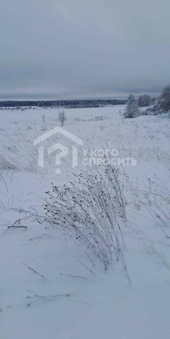 земля р-н Ломоносовский с Копорье Копорское сельское поселение фото 9