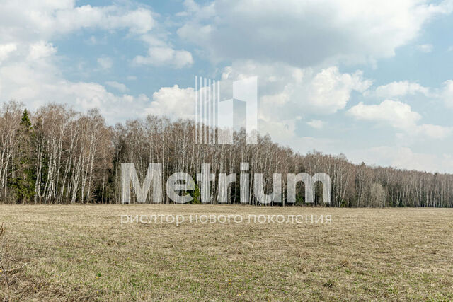 Шульгино д. ГП-4 тер, Шульгино д. фото