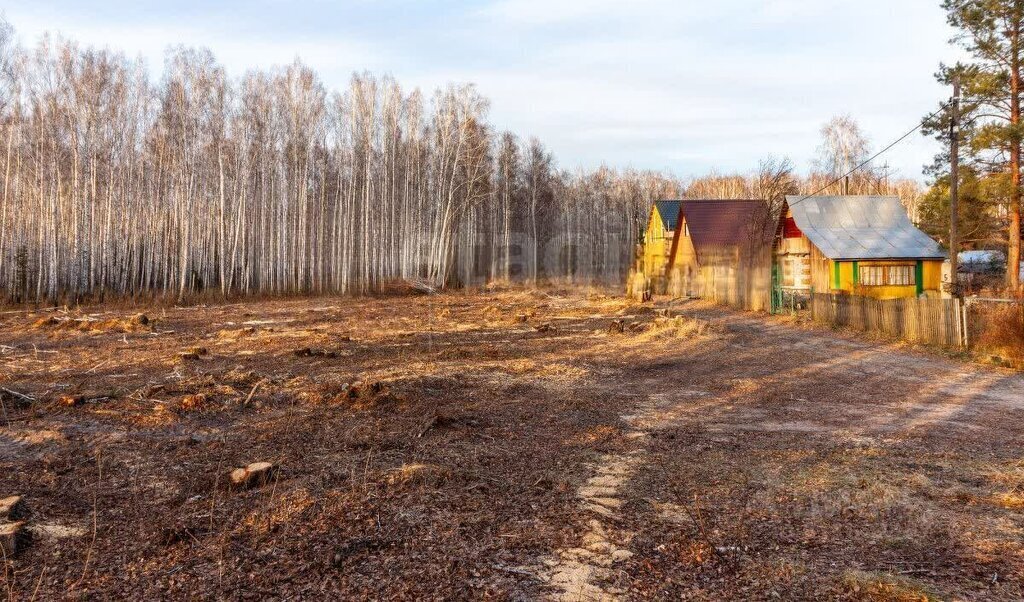 земля р-н Тюменский снт Искатель ул Линейная фото 8